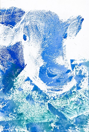 作品の画像