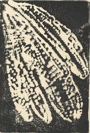 作品の画像