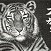 奨励賞　酒井　政保