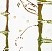 文部科学大臣賞　髙橋　花音