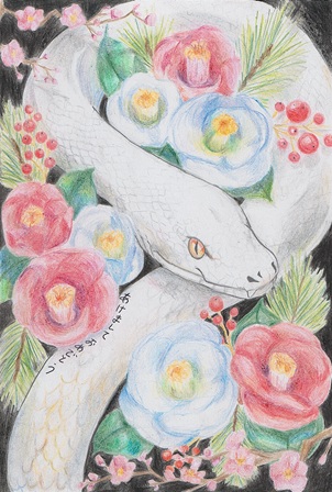 作品の画像