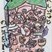 奨励賞　岩野　ほの花