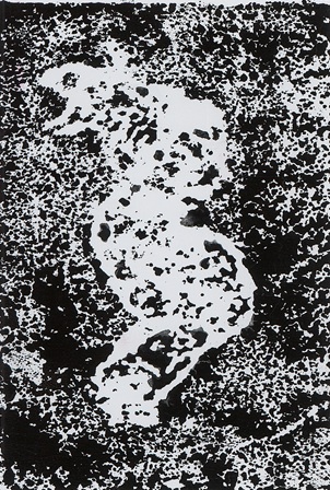 作品の画像