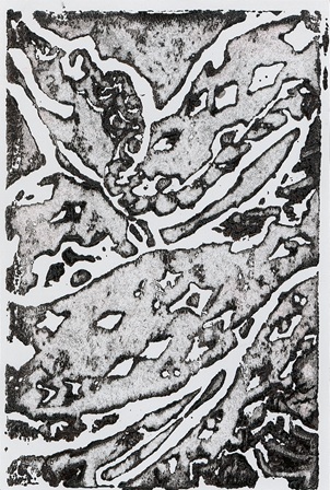 作品の画像