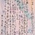 奨励賞　粉川　愛絆