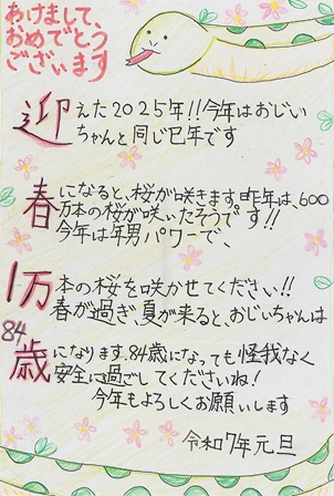 作品の画像
