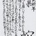 奨励賞　橋本　怜奈