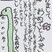 審査員特別賞　佐藤　心春