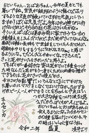 作品の画像