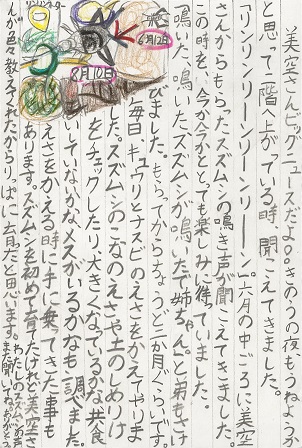 作品の画像