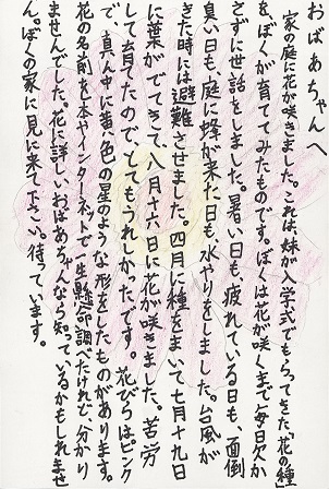 作品の画像
