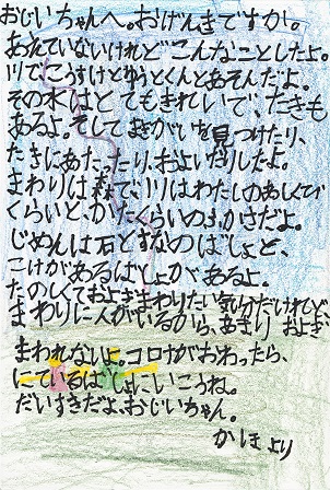 作品の画像