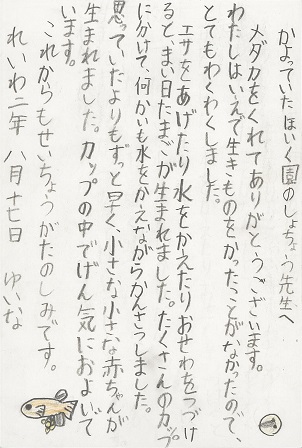 作品の画像