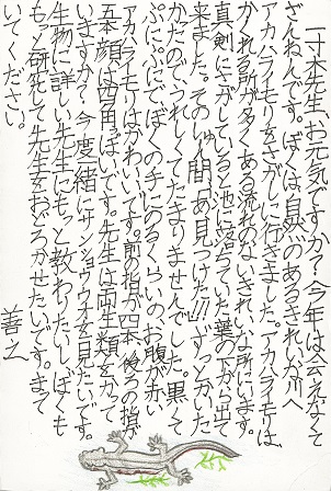作品の画像