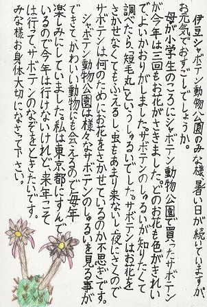 作品の画像