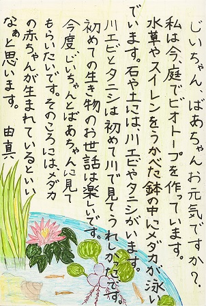 作品の画像