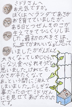 作品の画像