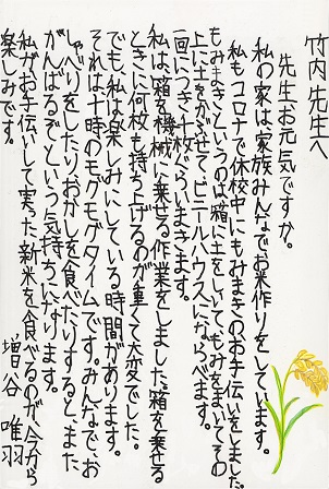 作品の画像