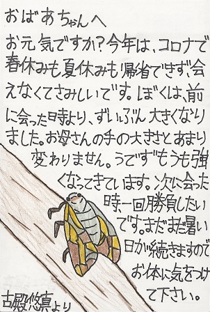 作品の画像
