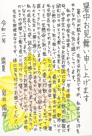 作品の画像