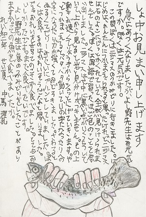 作品の画像
