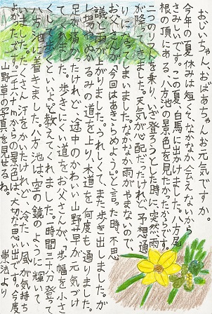作品の画像