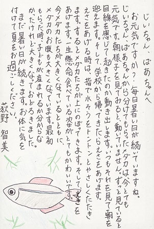 作品の画像