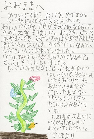 作品の画像