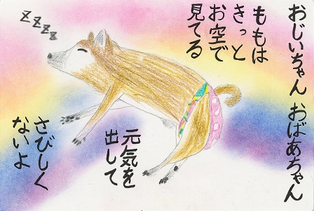 作品の画像