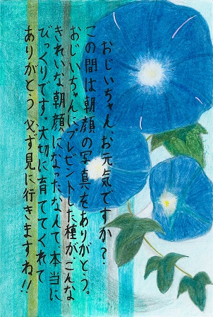 作品の画像