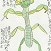 佳作　鈴木　ゆずか