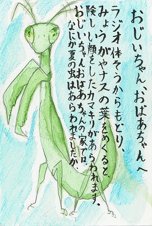 作品の画像