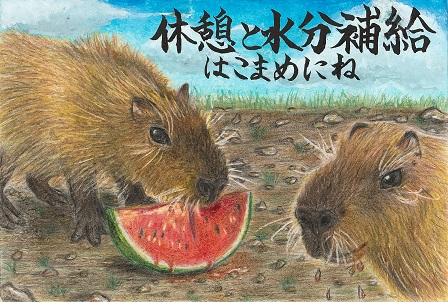 作品の画像