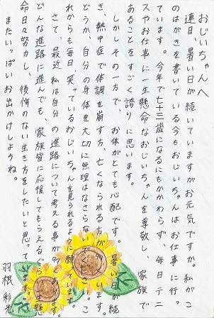 作品の画像