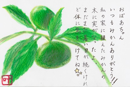 作品の画像