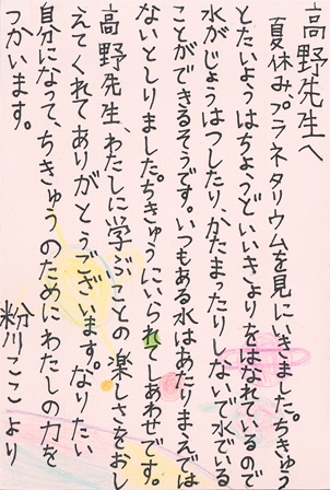 作品の画像