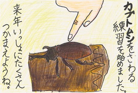 作品の画像