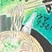 銀賞　脇本　悠吏