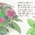 銀賞　下田　莉緒