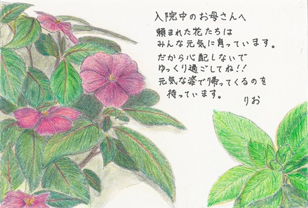 作品の画像