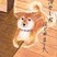 金賞　丸上　真椰
