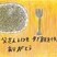 金賞　坂口　匠吾