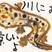 銅賞　前田　悠眞