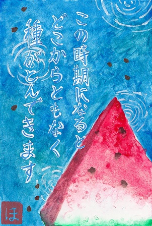 作品の画像