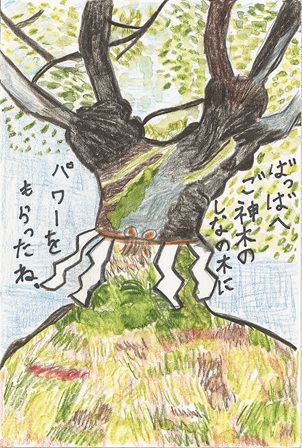 作品の画像