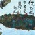 銅賞　冨永　昇太郎