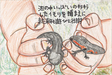 作品の画像