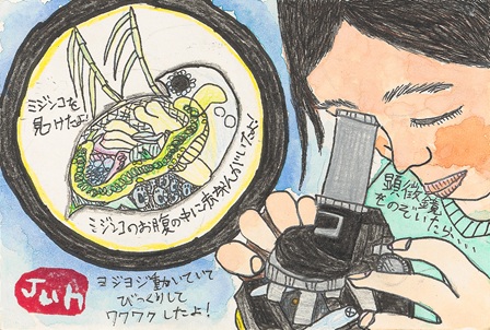 作品の画像