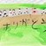 銅賞　三浦　誠太