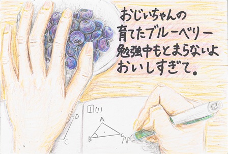 作品の画像